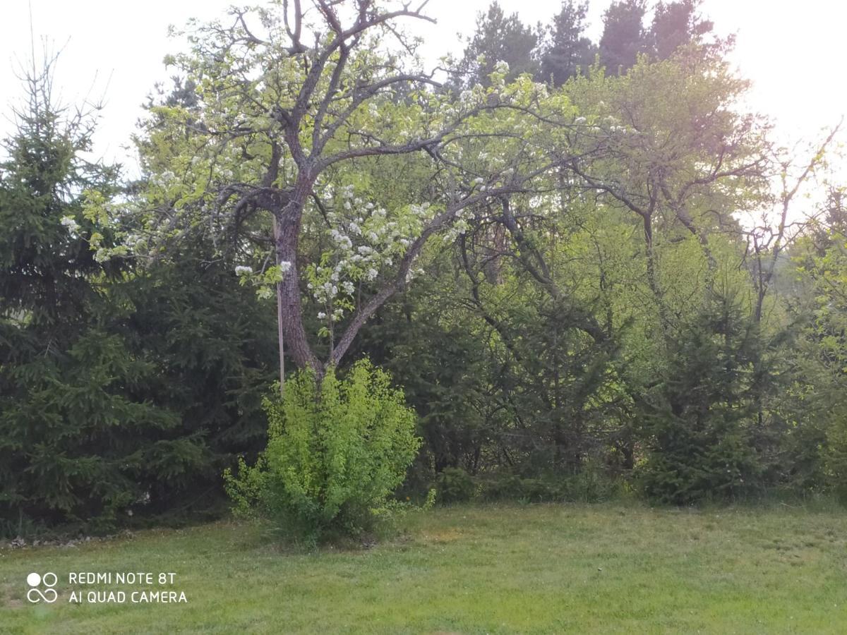 Dolistowka Apartamenty, Pole Namiotowe, Balia Z Jacuzzi, Ogrod Warzywny Dla Gosci, Plac Zabaw Dla Dzieci Goniadz Exterior foto