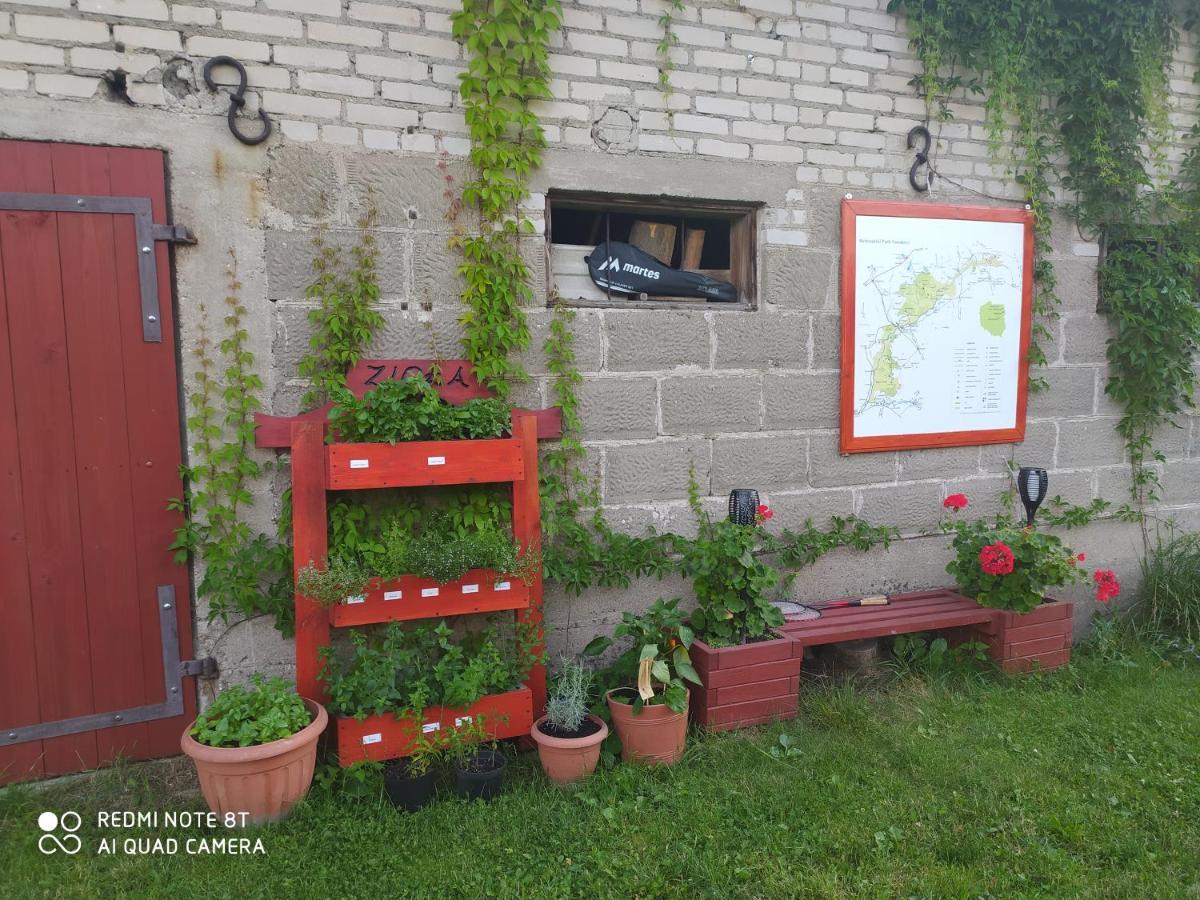 Dolistowka Apartamenty, Pole Namiotowe, Balia Z Jacuzzi, Ogrod Warzywny Dla Gosci, Plac Zabaw Dla Dzieci Goniadz Exterior foto