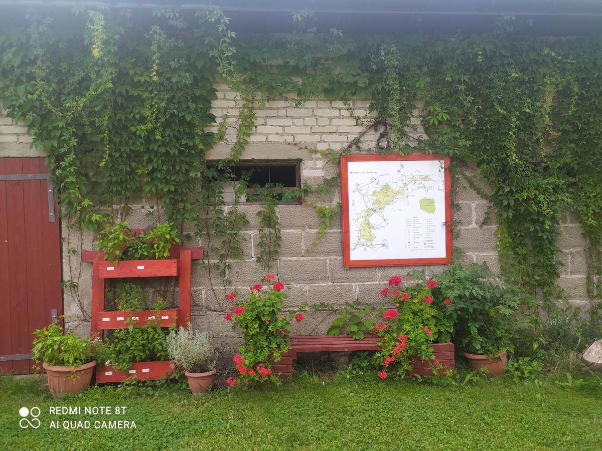 Dolistowka Apartamenty, Pole Namiotowe, Balia Z Jacuzzi, Ogrod Warzywny Dla Gosci, Plac Zabaw Dla Dzieci Goniadz Exterior foto