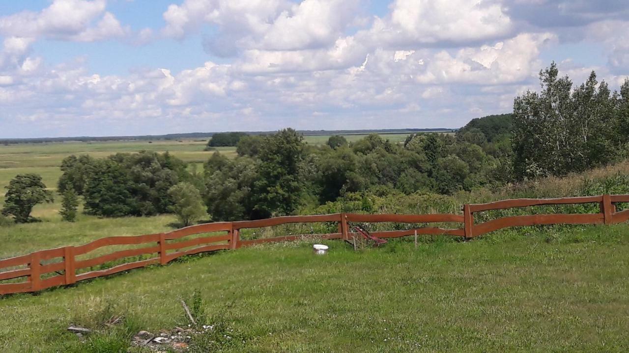 Dolistowka Apartamenty, Pole Namiotowe, Balia Z Jacuzzi, Ogrod Warzywny Dla Gosci, Plac Zabaw Dla Dzieci Goniadz Exterior foto