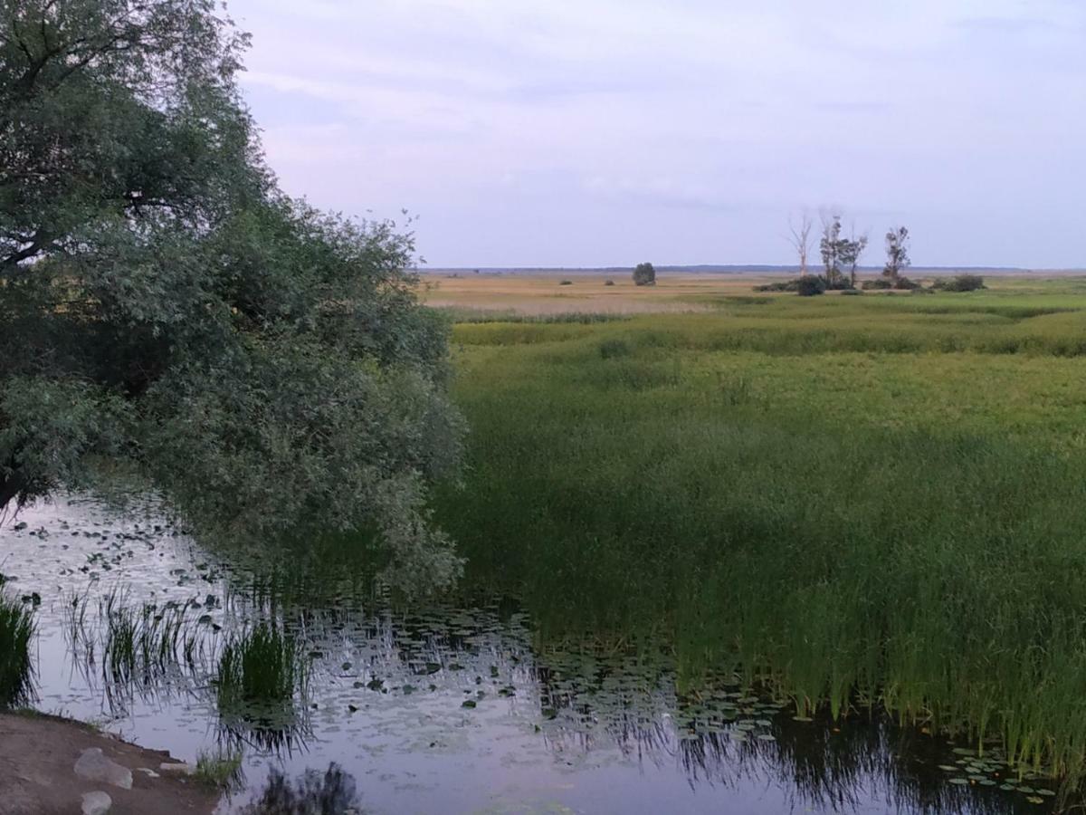 Dolistowka Apartamenty, Pole Namiotowe, Balia Z Jacuzzi, Ogrod Warzywny Dla Gosci, Plac Zabaw Dla Dzieci Goniadz Exterior foto